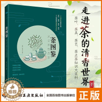 [醉染正版]生活-茶图鉴 从识茶到品茶 康菲 陈美珍 茶叶书籍大全 本书品鉴世界名茶 识茶泡茶品茶 茶知识大百科茶叶茶具