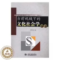 [醉染正版]当前视域下的文化社会学探究 汤秀丽 中国水利水电出版社 社会科学理论 书籍