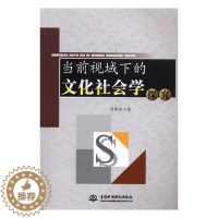 [醉染正版]正版 当前视域下的文化社会学探究 汤秀丽 书店 社会科学理论书籍 书 畅想书