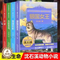 [醉染正版]沈石溪动物小说全集感悟生命书系全套共4册狼国女王红豺五彩龙鸟雪域豹影 7-12-15岁儿童文学中小学生课外阅