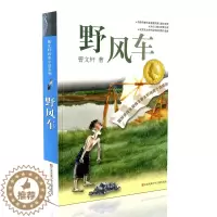 [醉染正版]野风车/曹文轩纯美小说系列 小学生三四五六年级小学语文暑期开学季阅读书籍 青少年读物小学生课外阅读故事书儿童