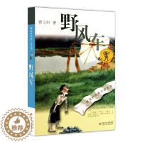 [醉染正版]曹文轩纯美小说系列 野风车 文学小说之作小学生初中生课外图书读物儿童文学中外名著