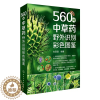 [醉染正版]560种中草药野外识别彩色图鉴 图解常见中草药 中医养生保健家庭用书 野外植物识别鉴别图册 常见中草药手册