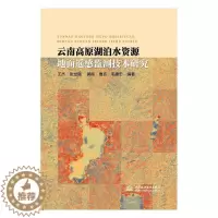 [醉染正版]云南高原湖泊水资源地面遥感监测技术研究王杰 环境科学技术人员书工业技术书籍