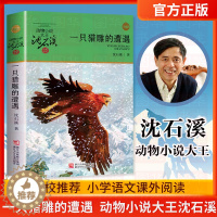 [醉染正版]一只猎雕的遭遇 大王沈石溪品藏书系新版 6-12岁一到六年级少儿童文学小说 小学生课外年动物故事书 浙江少年
