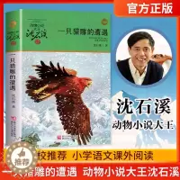 [醉染正版]一只猎雕的遭遇 大王沈石溪品藏书系新版 6-12岁一到六年级少儿童文学小说 小学生课外年动物故事书 浙江少年