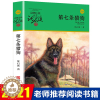 [醉染正版]第七条猎狗 沈石溪动物小说品藏书系 青少年课外启发读物教辅 7-9-10-12-15岁中国儿童文学少儿童话故