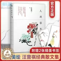 [醉染正版]正版 人间草木 汪曾祺散文随笔集珍藏版 中国当现代文学随笔集短篇小说精选全集 人间有味 生活是很好玩的