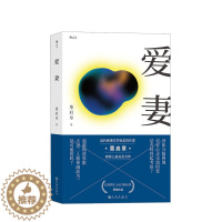 [醉染正版]爱妻 台北书展大奖获奖作品 香港标志性作家董启章著作 华语文学 言情小说书籍