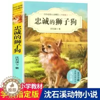 [醉染正版]忠诚的狮子狗 沈石溪中外动物小说精品升级版正版6-7-8-9-12岁儿童文学书籍小学生课外书三四五六年级故事