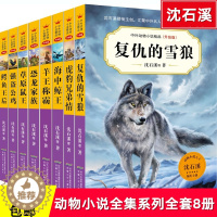 [醉染正版]正版 沈石溪动物小说全集系列全套8册正版初中三四五六年级小学生课外阅读书籍