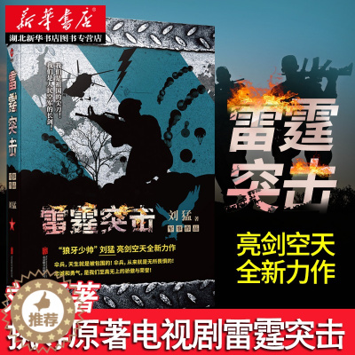 [醉染正版]正版 雷霆突击 军事文学教父“狼牙少帅”刘猛亮剑空天全新力作被誉为铁血文艺补钙文学的奠基者军事小说中国现