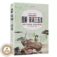 [醉染正版]正版 图解 宋词三百首 中国古诗词鉴赏 文白对照 白话彩图典藏版 精编精注 全彩读本青少年版文学中国古