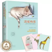 [醉染正版]温暖的弦 安宁的书张翰张钧甯主演电视剧原著小说愿所有等待终不被辜负风舞水北天南青春文学校园言情都市情感