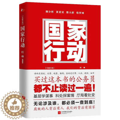 [醉染正版]正版国家行动程琳著 同名电视剧张译主演原著小说长篇反腐刑侦追问脊梁狂飙同类型官场小说公务员必读自省读物现