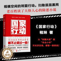 [醉染正版]国家行动 程琳著 张译主演同名电视剧原著人民的名义 悬疑推理警匪破案 犯罪长篇小说 反腐刑侦探笔记官场小说书