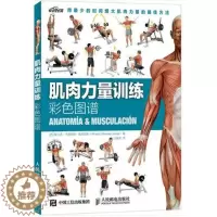 [醉染正版]正版肌肉力量训练彩色图谱(彩印)(西)里内拉斯,汪瑞芳体育/运动 体育理论与教学书籍