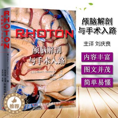 [醉染正版]RHOTON颅脑解剖与手术入路 (美)罗顿 著 中国科学技术出版社 9787504656131 颅脑外科临床