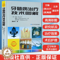 [醉染正版]正版 牙髓病治疗技术图解 口腔医学牙体牙髓病学牙髓之路 龋病根管治疗图谱书籍 一步一步做好根管治疗 牙科书