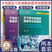 [醉染正版]套装2本 子宫颈与子宫细胞病理学诊断图谱+医学精萃系列-支气管与肺细胞病理学诊断图谱 解剖学组织学细胞病理学