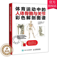 [醉染正版]正版 体育运动中的人体骨骼与关节彩色解剖图谱 9787115518255 竹内修二 人民邮电出版社 医学