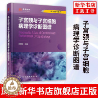 [醉染正版]医学精萃系列--子宫颈与子宫细胞病理学诊断图谱子宫颈细胞病理学相关基础知识 子宫颈细胞病理学进展 解剖学组织