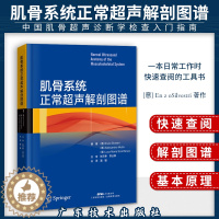 [醉染正版]正版 肌骨系统正常超声解剖图谱 肌骨超声入门 肌骨超声基本原理 超声解剖学 医学影像学 影像诊断学 超声诊断