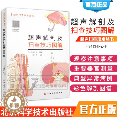 [醉染正版]超声解剖及扫查技巧图解 超声书籍操作超声解剖图谱用书医学书籍消化腹部乳腺结节超声分级b超超声成像妇产科超声报