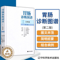 [醉染正版]上消化道 胃肠诊断图谱 实用消化内科临床医学书籍 胃肠病学诊断技术 临床胃肠病学图谱 97875381634