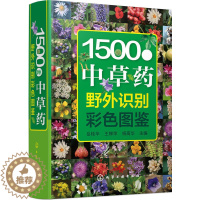 [醉染正版]1500种中草药野外识别彩色图鉴 医学书 中*常用全彩色 药草品种种类大全 中药鉴赏书 中草药图谱基本知识大