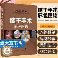 [醉染正版]脑干手术彩色图谱 脑干神经解剖外科手术图国际神经外科名家共同编著丘脑松果体等病损手术入路上海科学技术出版社西
