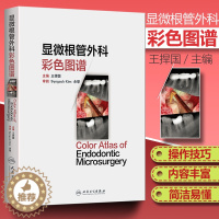 [醉染正版]医学书正版 显微根管外科彩色图谱 王捍国 9787117230278 人民卫生出版社