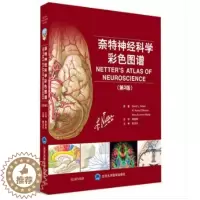 [醉染正版]正版 奈特神经科学彩色图谱第3版三版李安然张卫光平装奈特神经系统疾病临床解剖人体书籍医学图谱参考书北京大