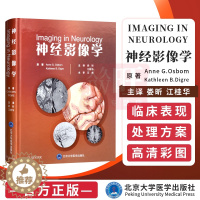 [醉染正版]正版 神经影像学娄昕主译 北京大学医学出版社9787565918667 神经影像教程奈特神经系统影像解剖图谱