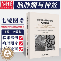 [醉染正版]脑肿瘤与神经组织电镜图谱 细胞超微病理及生物医学电镜制样技术 孙异临 人民卫生出版社978711726902