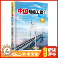 [醉染正版]中国超级工程丛书-中国桥精装硬壳青少年建筑科普儿童百科全书大百科小学生课外阅读书籍8-12岁幼儿少儿知识读物