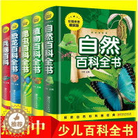 [醉染正版]全5本彩图拼音精装版 植物百科自然百科恐龙百科昆虫百科兵器百科儿童百科全书注音版科普知识读物带拼音小学生课外