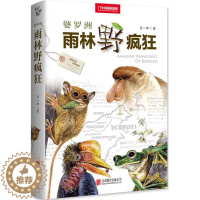 [醉染正版]婆罗洲雨林野疯狂儿童读物/童书/科普百科