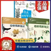 [醉染正版]正版3册 自然观察笔记+我的大自然观察笔记 植物观察笔记+动物观察笔记 科普观察绘画艺术书 动植物自然科学书