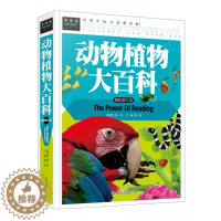 [醉染正版]常春藤-动物植物大百科 (精致图文版)精装彩图 儿童课外阅读书科普书儿童百科书 青少年科普读物 科普