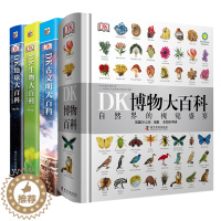 [醉染正版]DK博物大百科 DK地球大百科 DK生物大百科 DK古文明大百科 4册精装大开本彩图版 8-15少儿童科普书