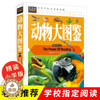 [醉染正版]动物大图鉴 精装彩图版 常春藤系列科普书籍正版 动物大百科全书儿童课外阅读书籍大全 动物世界少