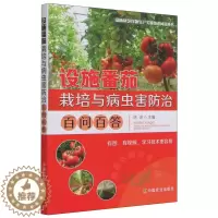 [醉染正版]设施番茄栽培与病虫害防治百问百答 徐进 主编 9787109279230 种植业 专业科技 中国农业出版社