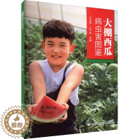 [醉染正版]大棚西瓜病虫害图鉴 王汉荣,江于良 编 种植业 专业科技 中国农业科学技术出版社 9787511659460