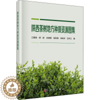 [醉染正版]陕西茶树地方种质资源图集 江昌俊 等 著 种植业 专业科技 科学出版社 9787030590565