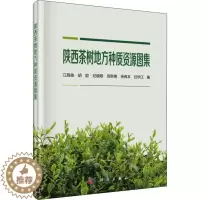 [醉染正版]陕西茶树地方种质资源图集 江昌俊 等 著 种植业 专业科技 科学出版社 9787030590565