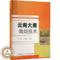 [醉染正版]云南大麦栽培技术 王志龙,于亚雄 编 种植业 专业科技 中国农业出版社 9787109300675 图书