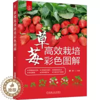 [醉染正版]草莓高效栽培彩色图解 路河 编 种植业 专业科技 机械工业出版社 9787111729693 图书