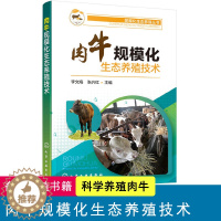 [醉染正版]肉牛规模化生态养殖技术 畜牧业养殖书籍 科学养牛 规范化养牛