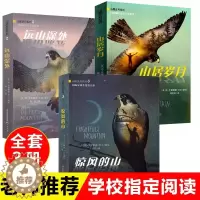 [醉染正版]纽伯瑞3册山居岁月系列123惊风的山远山深处国际安徒生奖提名奖中小学生课外阅读书籍三四五六年级冒险励志小说7